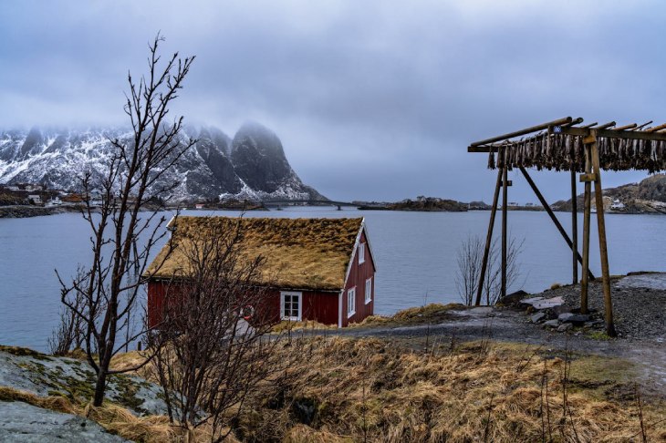 hvordan fungerer en varmepumpe - fra jordvarme til energieffektiv oppvarming